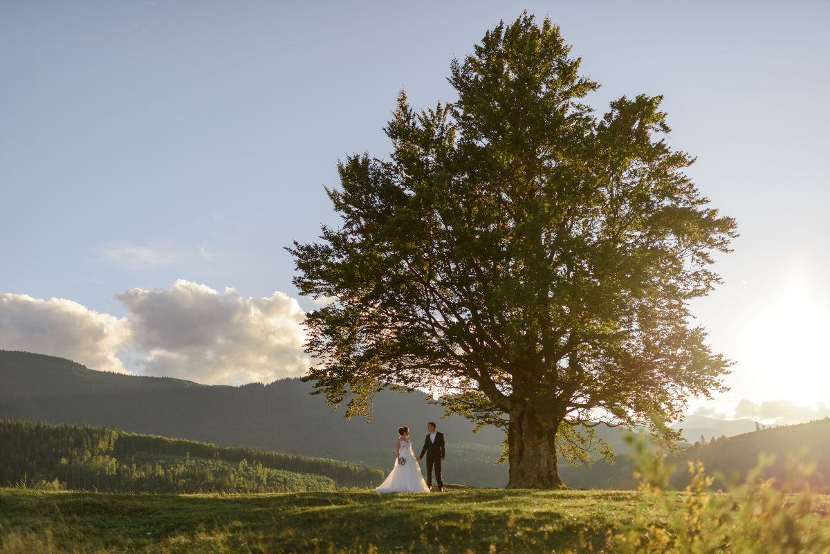 The Complete Aspen Wedding Guide: From Venue to Vows